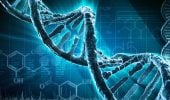 Stocarea datelor în ADN