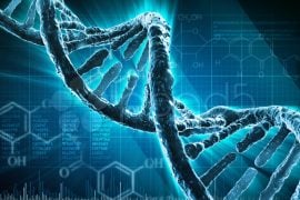 Stocarea datelor în ADN