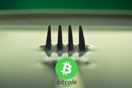 Bitcoin Cash