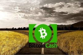hard fork-ul Bitcoin Cash