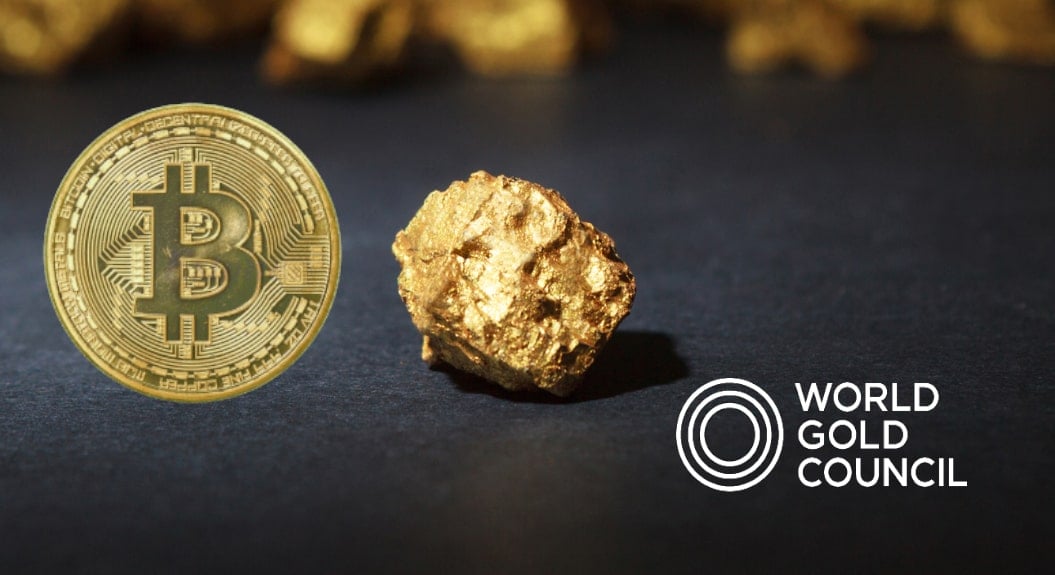 bitcoin gold cryptocurrency piace piap bitcoin deținător