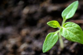 Bitcoin a depășit media