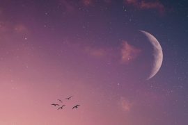 capacitatea totală a pieței cripto