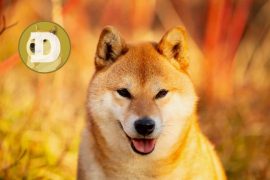 DOGECoin și-a triplat valoarea